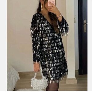 Elegant Black and Silver Sequin Fringe Dress Zara